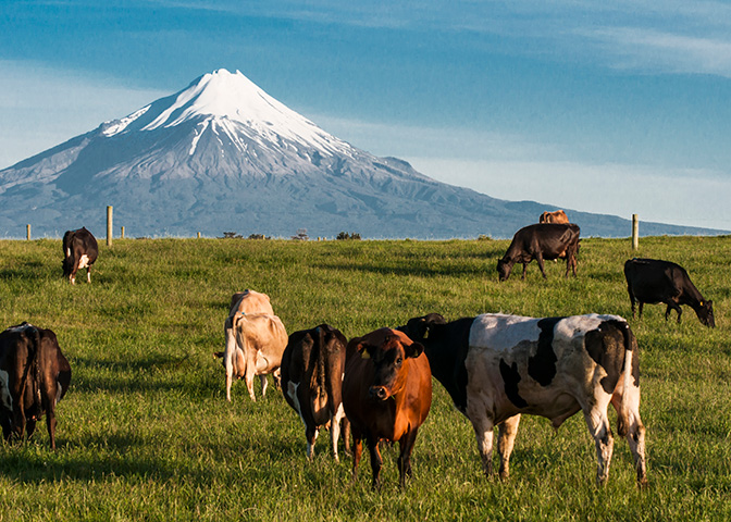 Land subdivision-rural subdivision-puzzle image